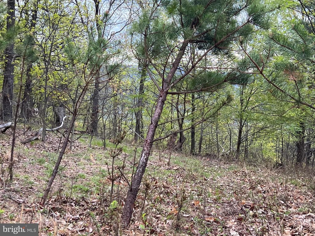 299 +/ Acres off of Pond Hill Rd, McCoole, MD