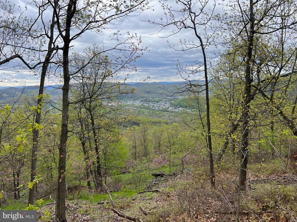 299 +/ Acres off of Pond Hill Rd, McCoole, MD