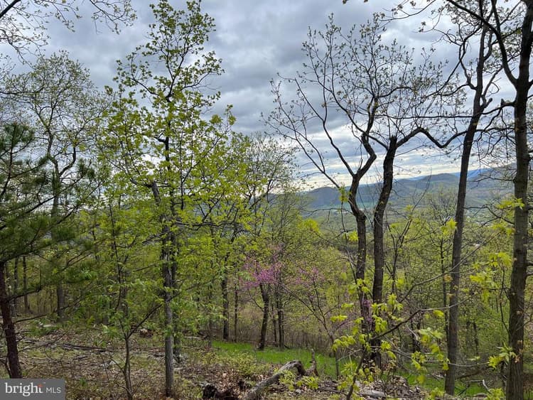 299 +/ Acres off of Pond Hill Rd, McCoole, MD