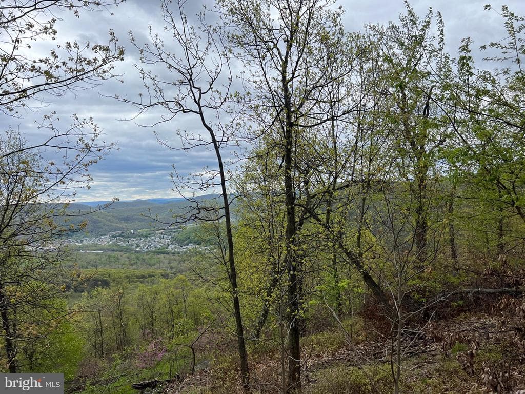 299 +/ Acres off of Pond Hill Rd, McCoole, MD