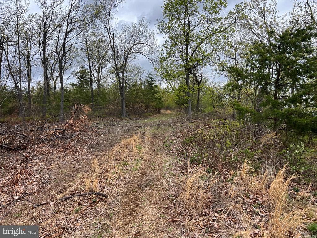 299 +/ Acres off of Pond Hill Rd, McCoole, MD
