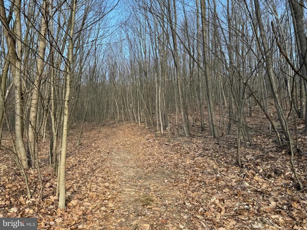 Property photo #11 for 40+/- Acres S Valley Rd, Crystal Spring, PA 15536