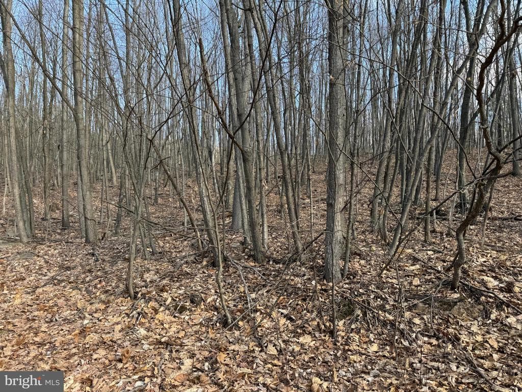 Property photo #12 for 40+/- Acres S Valley Rd, Crystal Spring, PA 15536