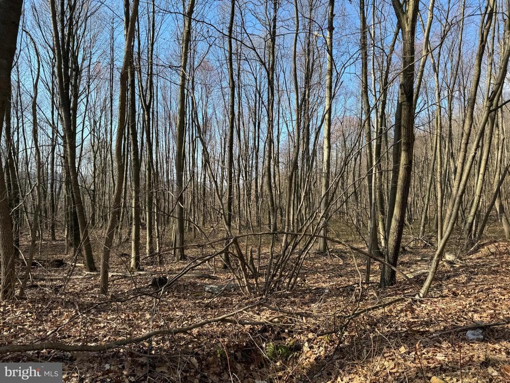 Property photo #13 for 40+/- Acres S Valley Rd, Crystal Spring, PA 15536