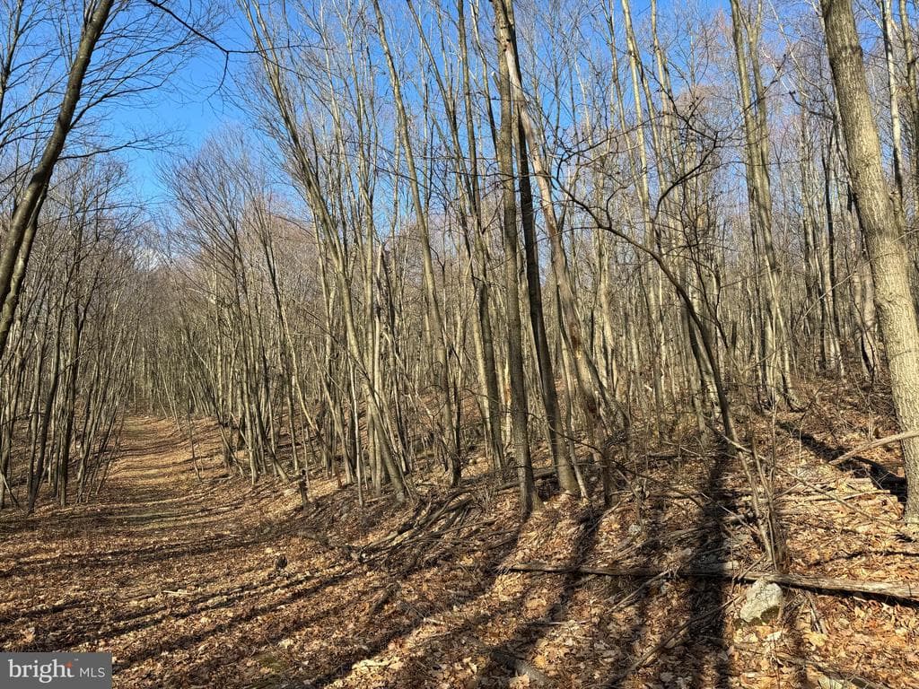 Property photo #14 for 40+/- Acres S Valley Rd, Crystal Spring, PA 15536