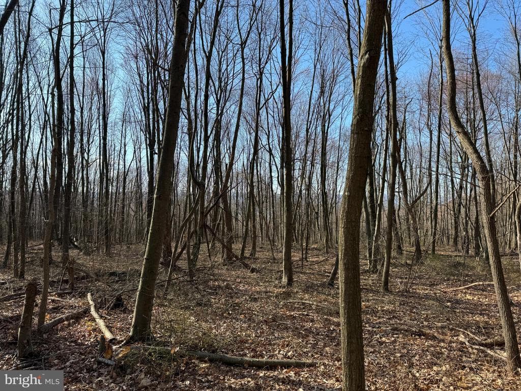 Property photo #15 for 40+/- Acres S Valley Rd, Crystal Spring, PA 15536