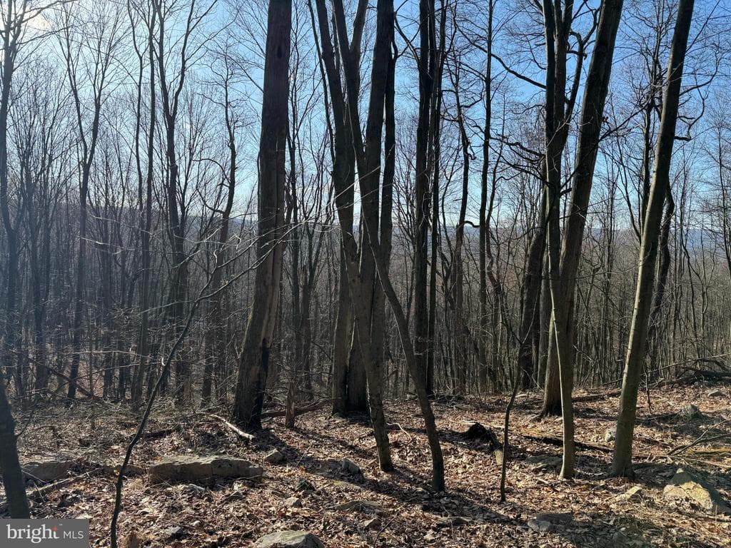 Property photo #16 for 40+/- Acres S Valley Rd, Crystal Spring, PA 15536