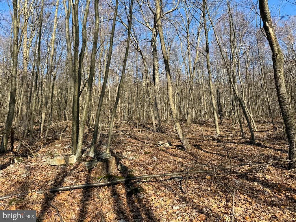 Property photo #17 for 40+/- Acres S Valley Rd, Crystal Spring, PA 15536