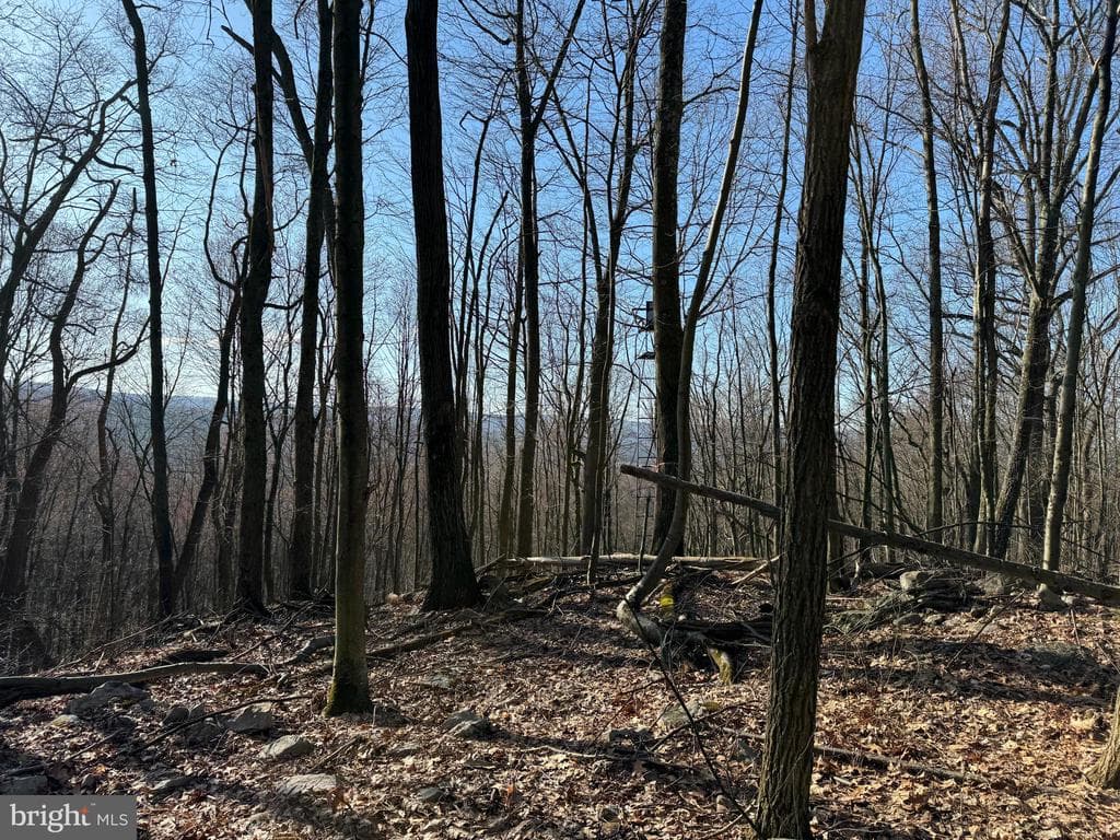 Property photo #18 for 40+/- Acres S Valley Rd, Crystal Spring, PA 15536