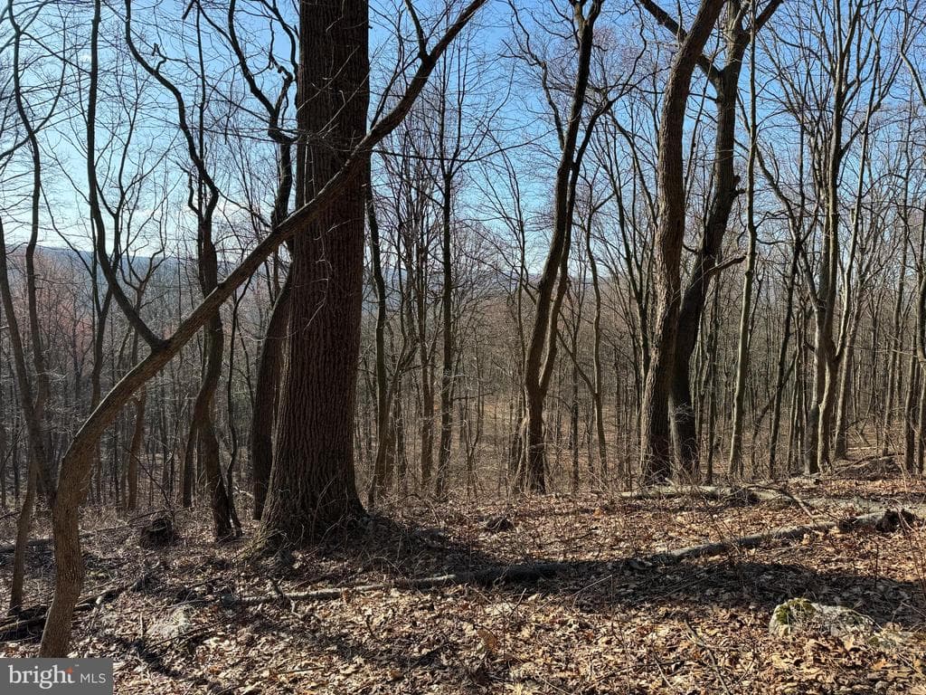 Property photo #19 for 40+/- Acres S Valley Rd, Crystal Spring, PA 15536