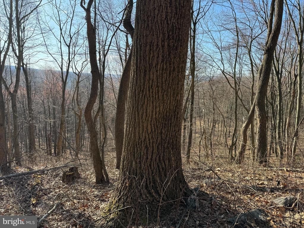 Property photo #20 for 40+/- Acres S Valley Rd, Crystal Spring, PA 15536