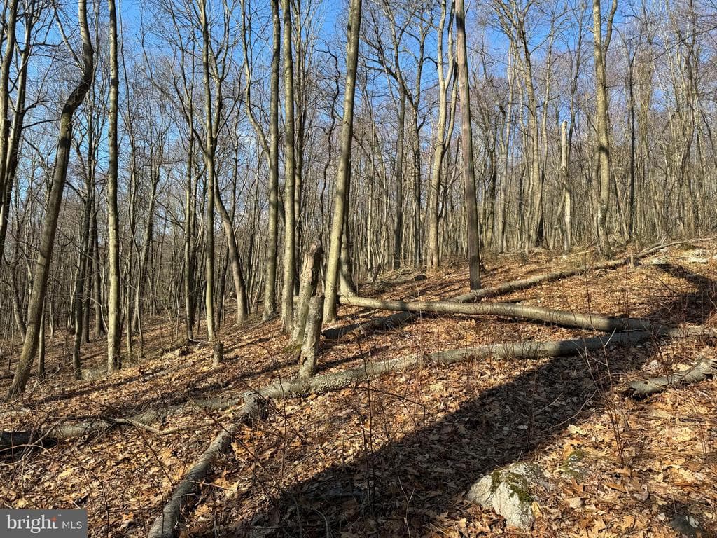 Property photo #21 for 40+/- Acres S Valley Rd, Crystal Spring, PA 15536