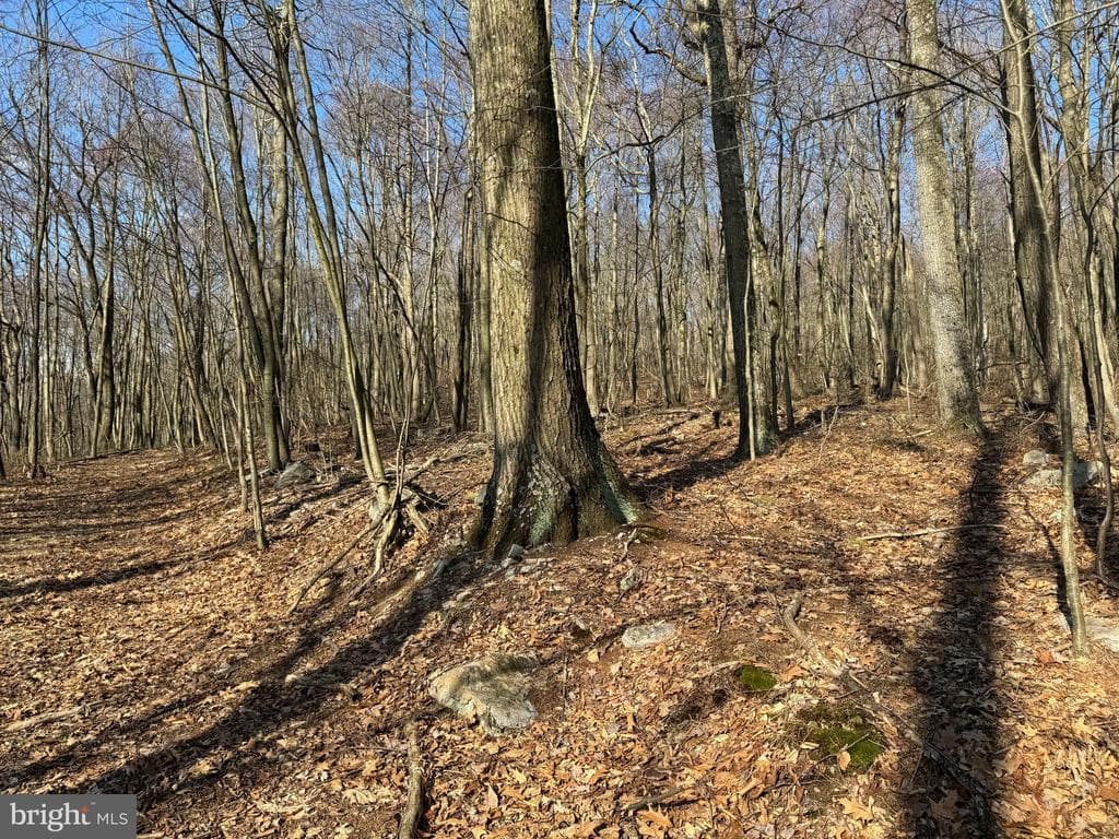 Property photo #23 for 40+/- Acres S Valley Rd, Crystal Spring, PA 15536