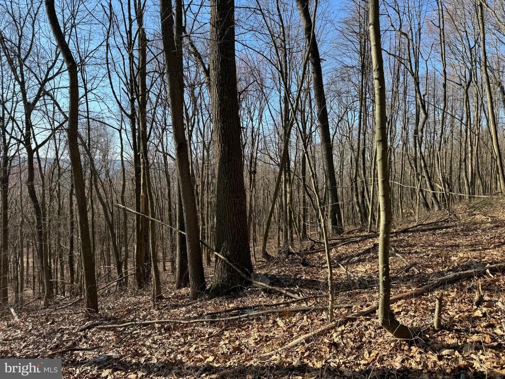 Property photo #24 for 40+/- Acres S Valley Rd, Crystal Spring, PA 15536