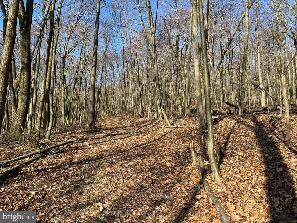 Property photo #25 for 40+/- Acres S Valley Rd, Crystal Spring, PA 15536