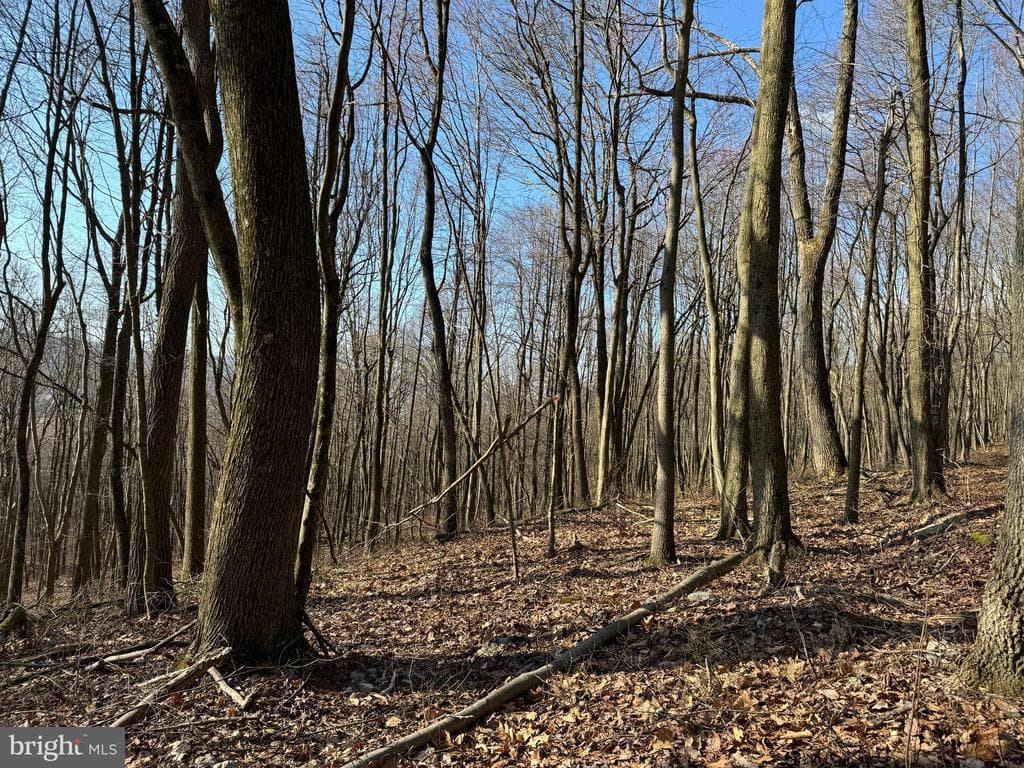 Property photo #26 for 40+/- Acres S Valley Rd, Crystal Spring, PA 15536