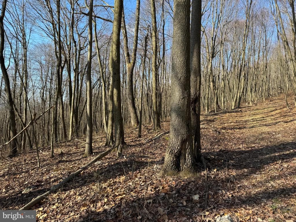 Property photo #27 for 40+/- Acres S Valley Rd, Crystal Spring, PA 15536