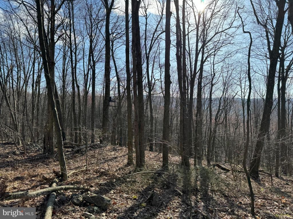 Property photo #29 for 40+/- Acres S Valley Rd, Crystal Spring, PA 15536