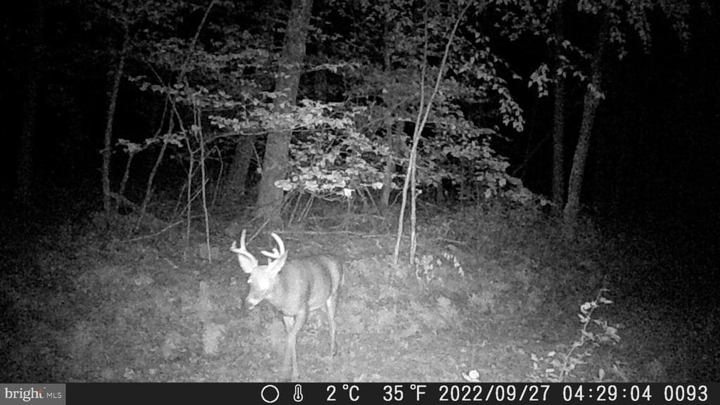 Property photo #3 for 40+/- Acres S Valley Rd, Crystal Spring, PA 15536