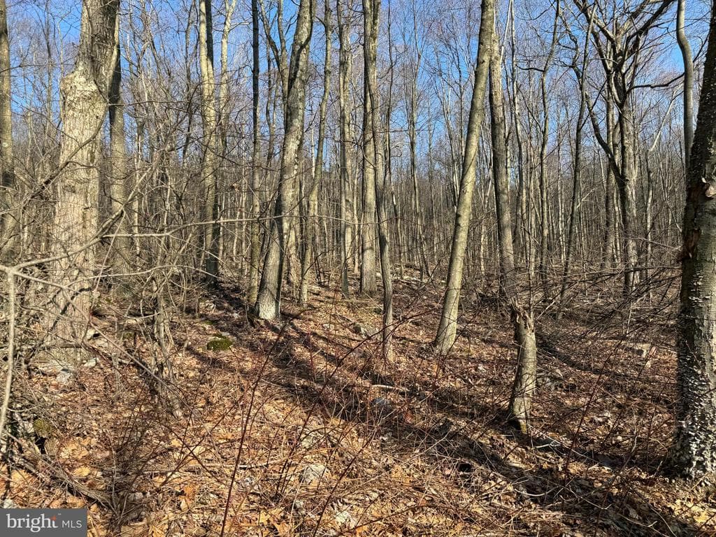 Property photo #30 for 40+/- Acres S Valley Rd, Crystal Spring, PA 15536