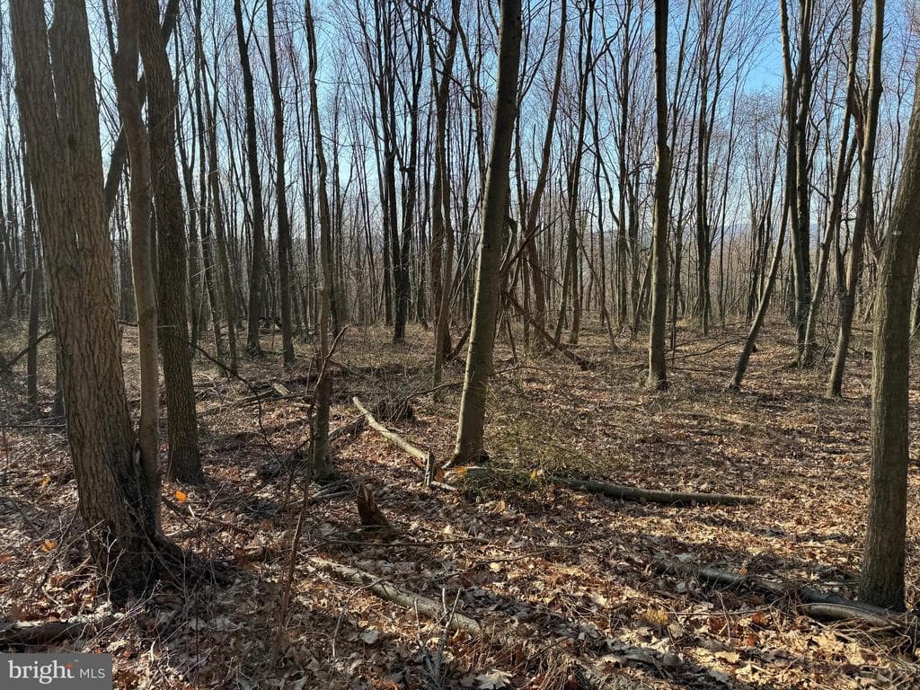 Property photo #32 for 40+/- Acres S Valley Rd, Crystal Spring, PA 15536