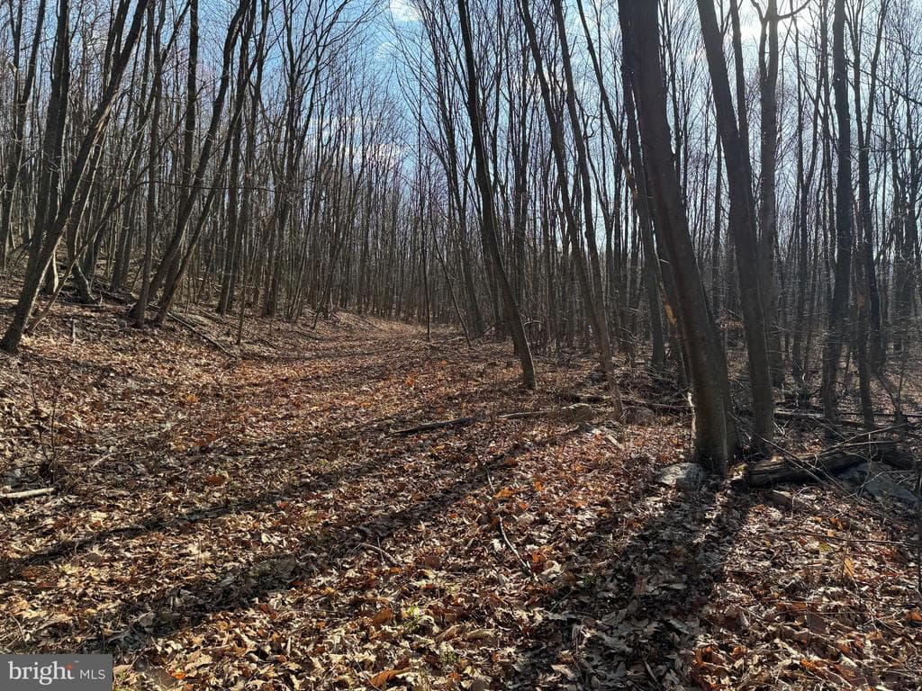 Property photo #33 for 40+/- Acres S Valley Rd, Crystal Spring, PA 15536