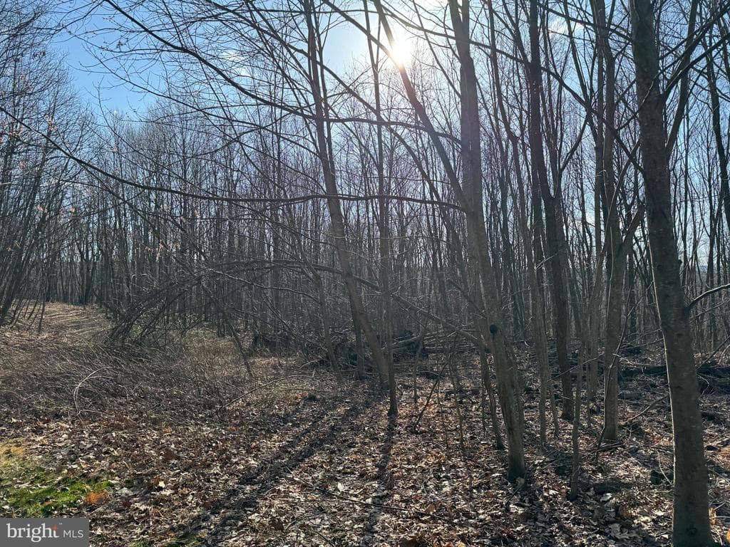 Property photo #34 for 40+/- Acres S Valley Rd, Crystal Spring, PA 15536