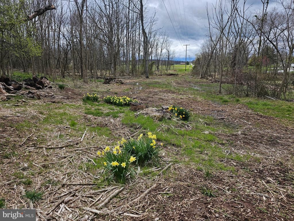 Property photo #48 for 615 Shrivers Corner Rd, Gettysburg, PA 17325
