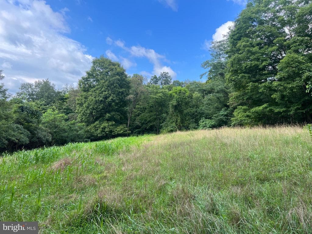 Property photo #49 for 3035 Black Log Road, Orbisonia, PA 17243