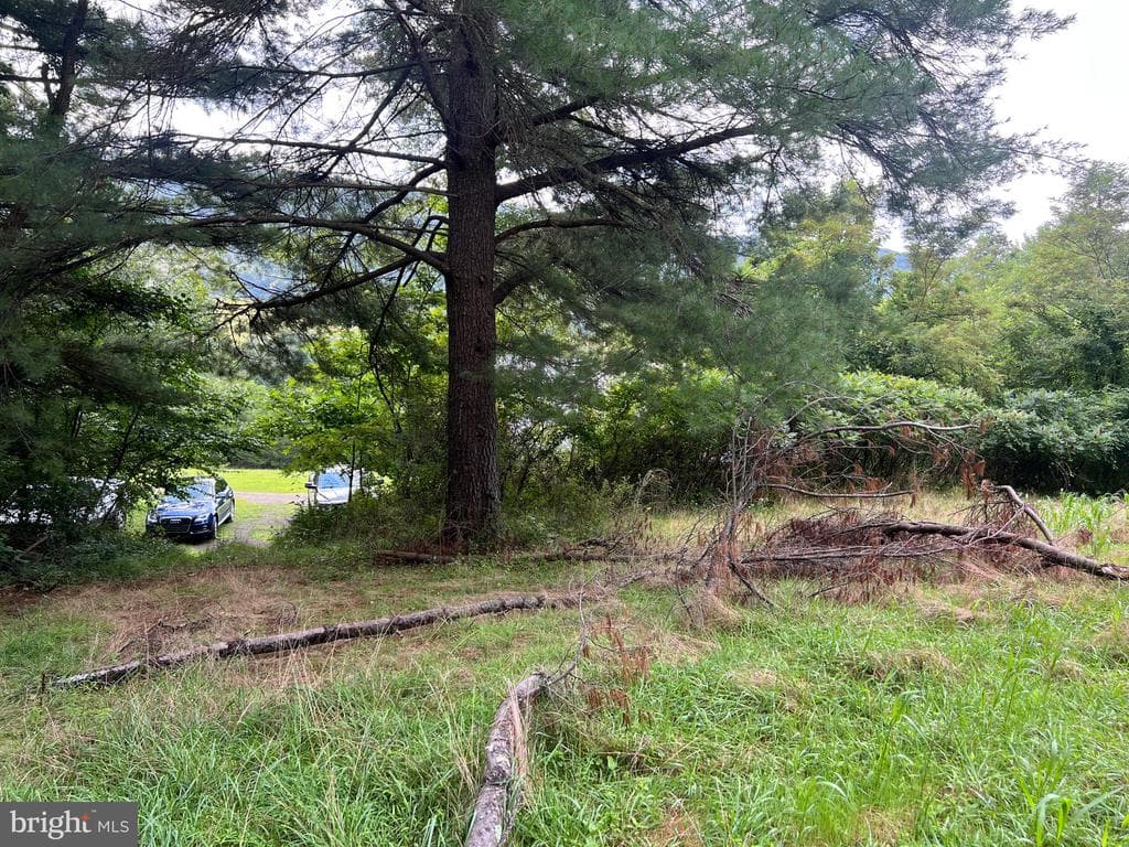Property photo #50 for 3035 Black Log Road, Orbisonia, PA 17243