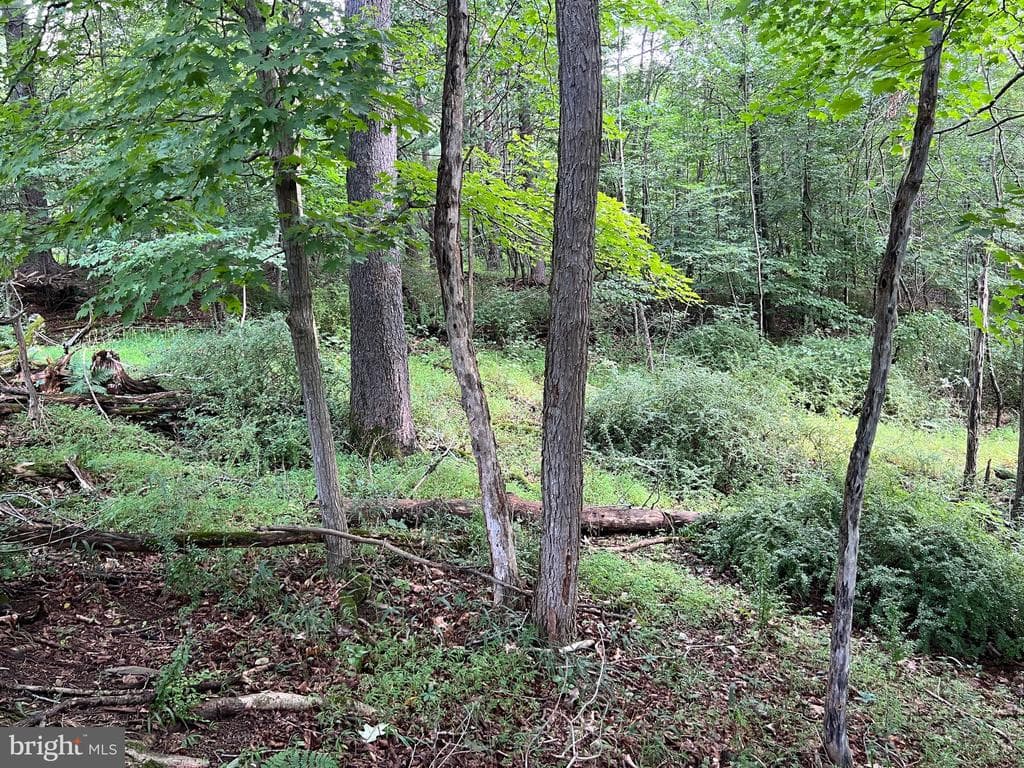 Property photo #51 for 3035 Black Log Road, Orbisonia, PA 17243