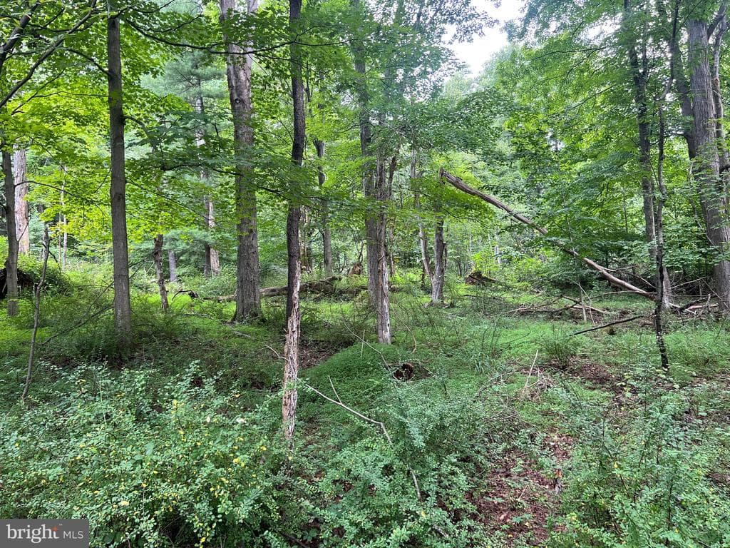 Property photo #53 for 3035 Black Log Road, Orbisonia, PA 17243
