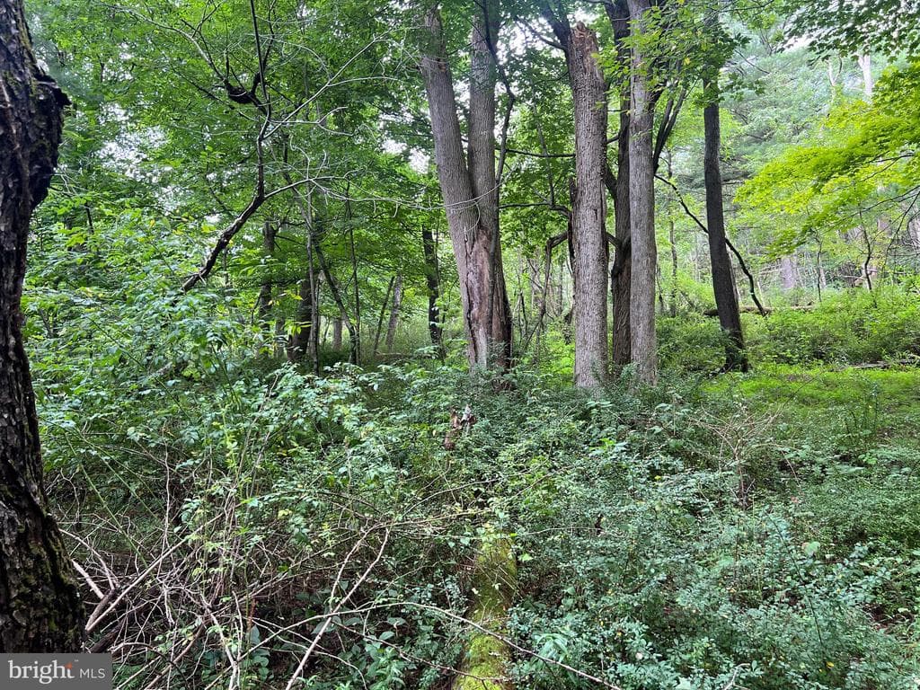 Property photo #54 for 3035 Black Log Road, Orbisonia, PA 17243