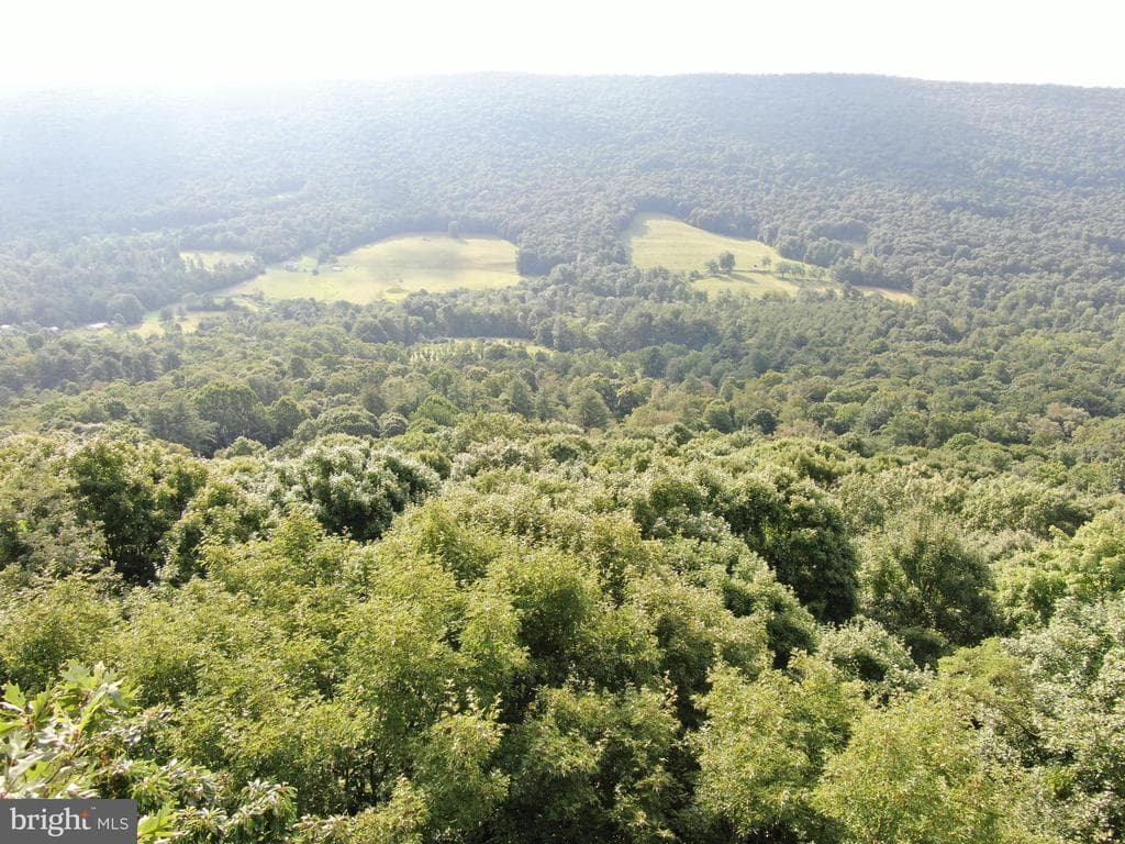 Property photo #66 for 3035 Black Log Road, Orbisonia, PA 17243