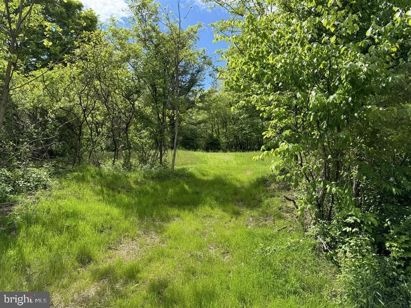 Property photo #79 for 3035 Black Log Road, Orbisonia, PA 17243
