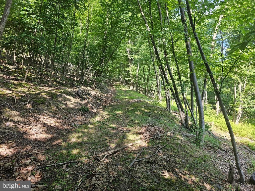 Property photo #1 for 14.25+/- Acres off Dry Run Rd, Mercersburg, PA 17236