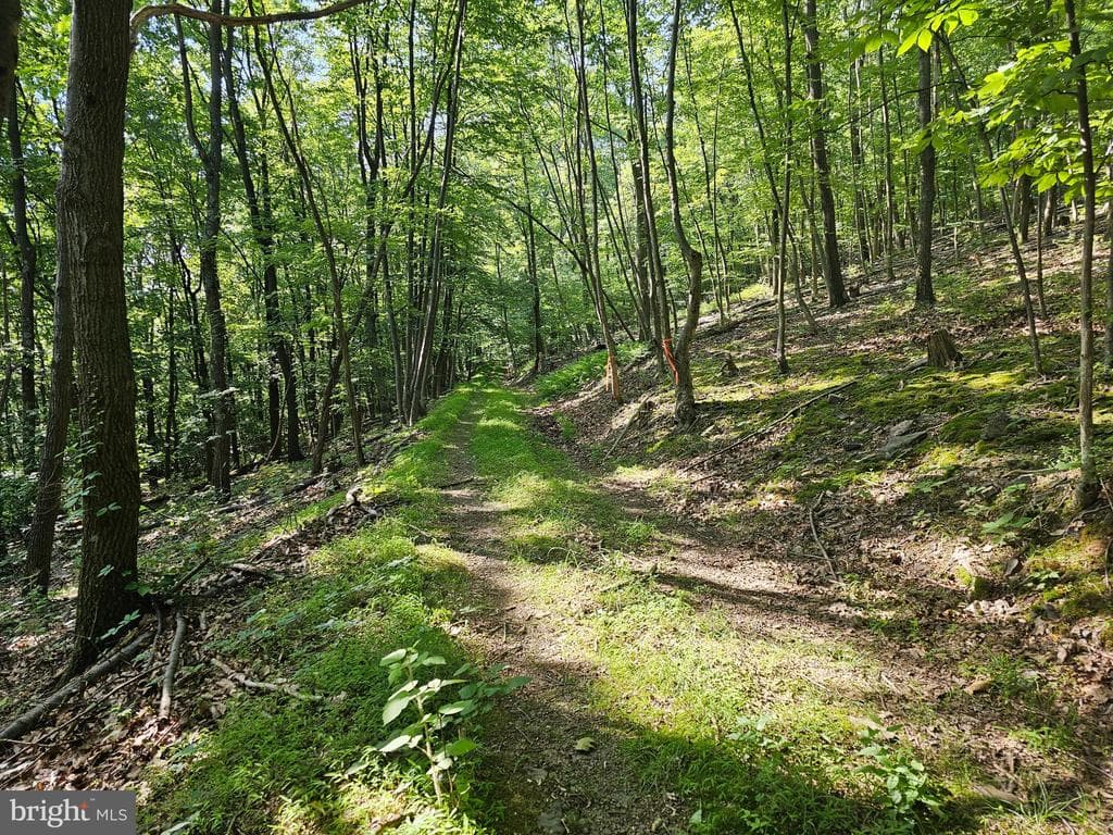 Property photo #10 for 14.25+/- Acres off Dry Run Rd, Mercersburg, PA 17236