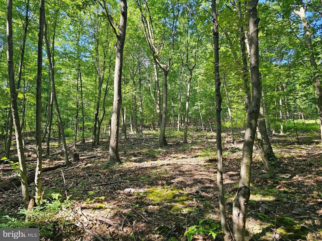 Property photo #11 for 14.25+/- Acres off Dry Run Rd, Mercersburg, PA 17236