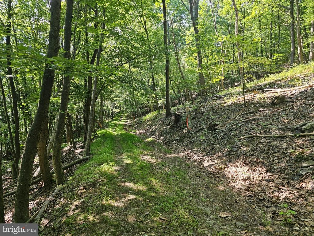 Property photo #12 for 14.25+/- Acres off Dry Run Rd, Mercersburg, PA 17236