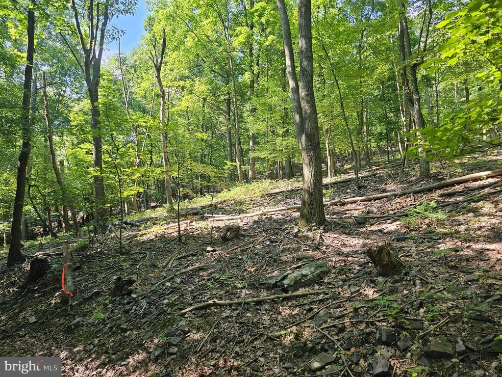Property photo #13 for 14.25+/- Acres off Dry Run Rd, Mercersburg, PA 17236