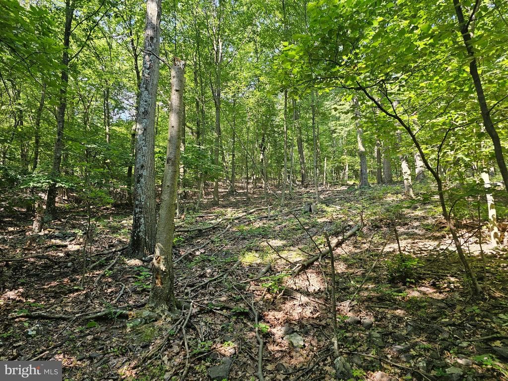 Property photo #14 for 14.25+/- Acres off Dry Run Rd, Mercersburg, PA 17236