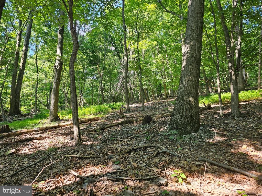 Property photo #16 for 14.25+/- Acres off Dry Run Rd, Mercersburg, PA 17236