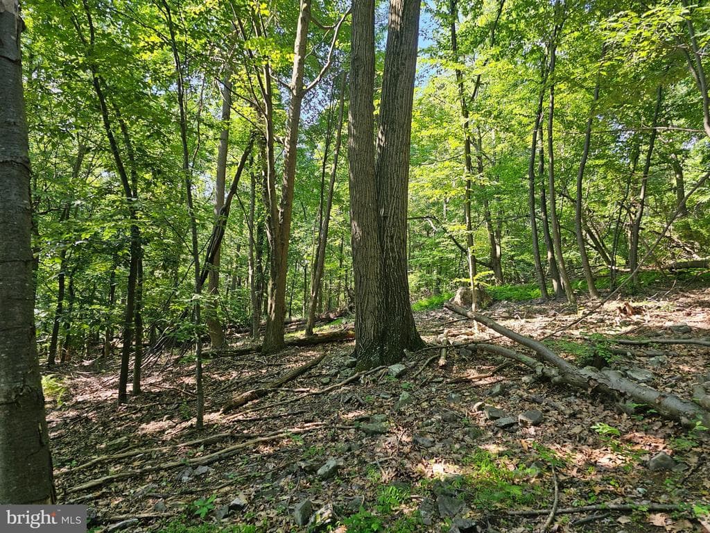 Property photo #17 for 14.25+/- Acres off Dry Run Rd, Mercersburg, PA 17236