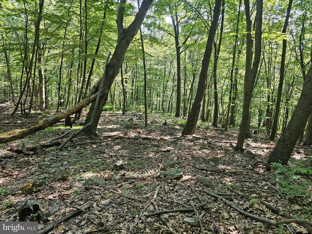 Property photo #18 for 14.25+/- Acres off Dry Run Rd, Mercersburg, PA 17236