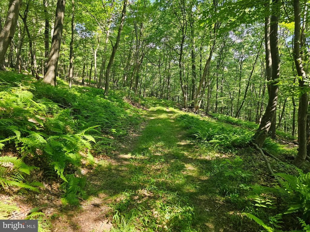 Property photo #19 for 14.25+/- Acres off Dry Run Rd, Mercersburg, PA 17236
