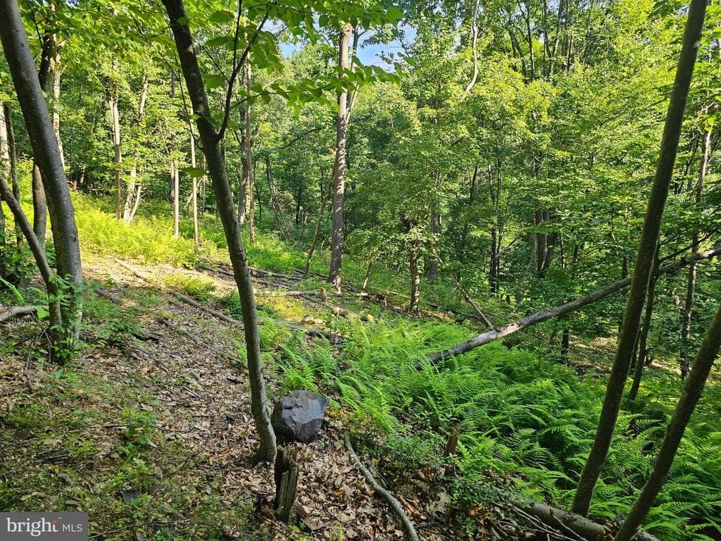 Property photo #2 for 14.25+/- Acres off Dry Run Rd, Mercersburg, PA 17236