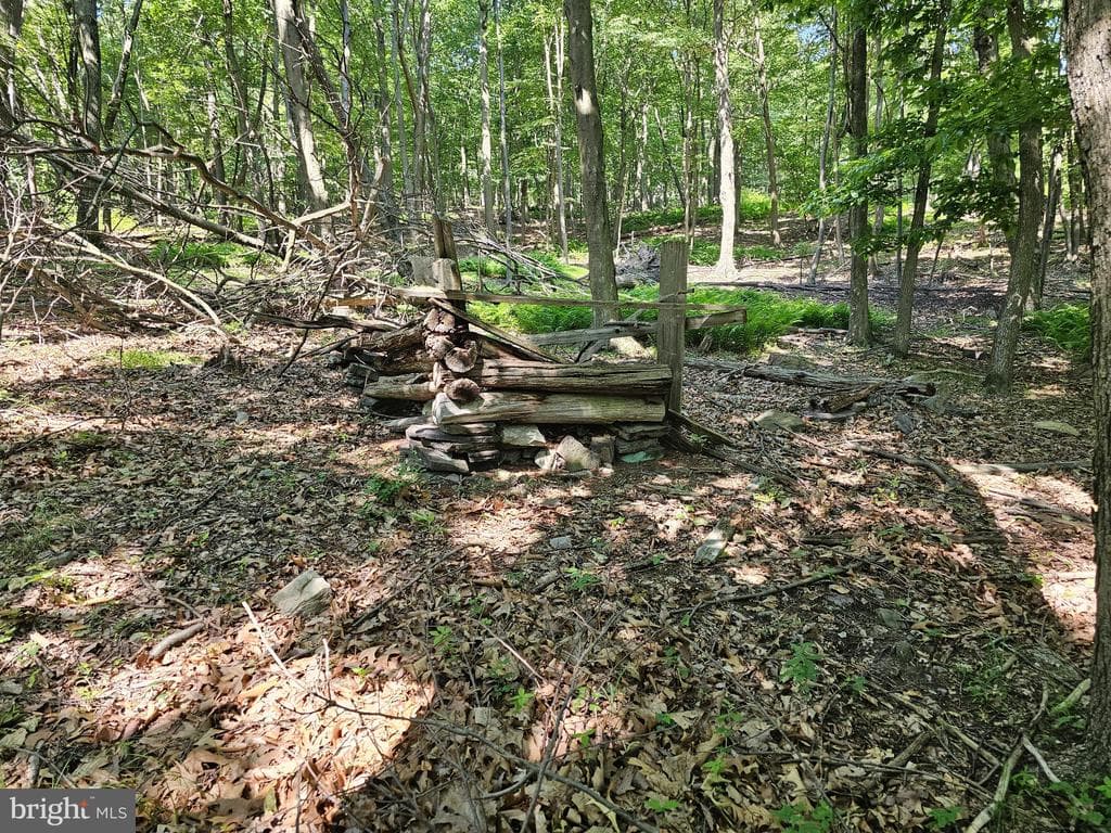 Property photo #20 for 14.25+/- Acres off Dry Run Rd, Mercersburg, PA 17236