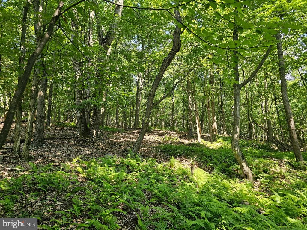 Property photo #21 for 14.25+/- Acres off Dry Run Rd, Mercersburg, PA 17236