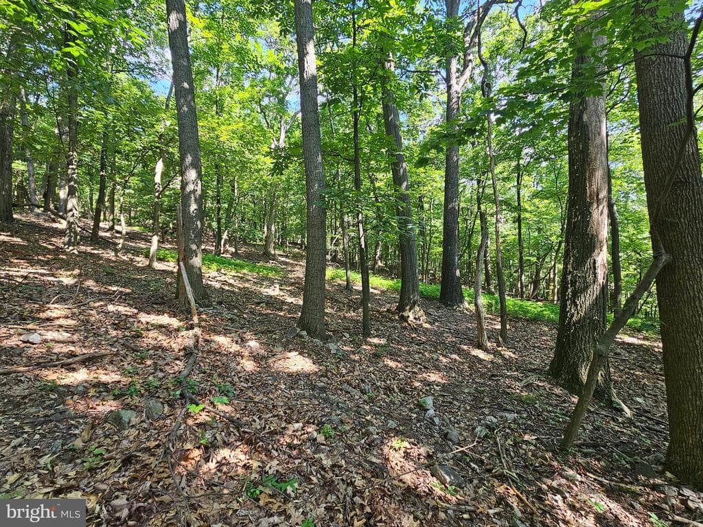 Property photo #22 for 14.25+/- Acres off Dry Run Rd, Mercersburg, PA 17236