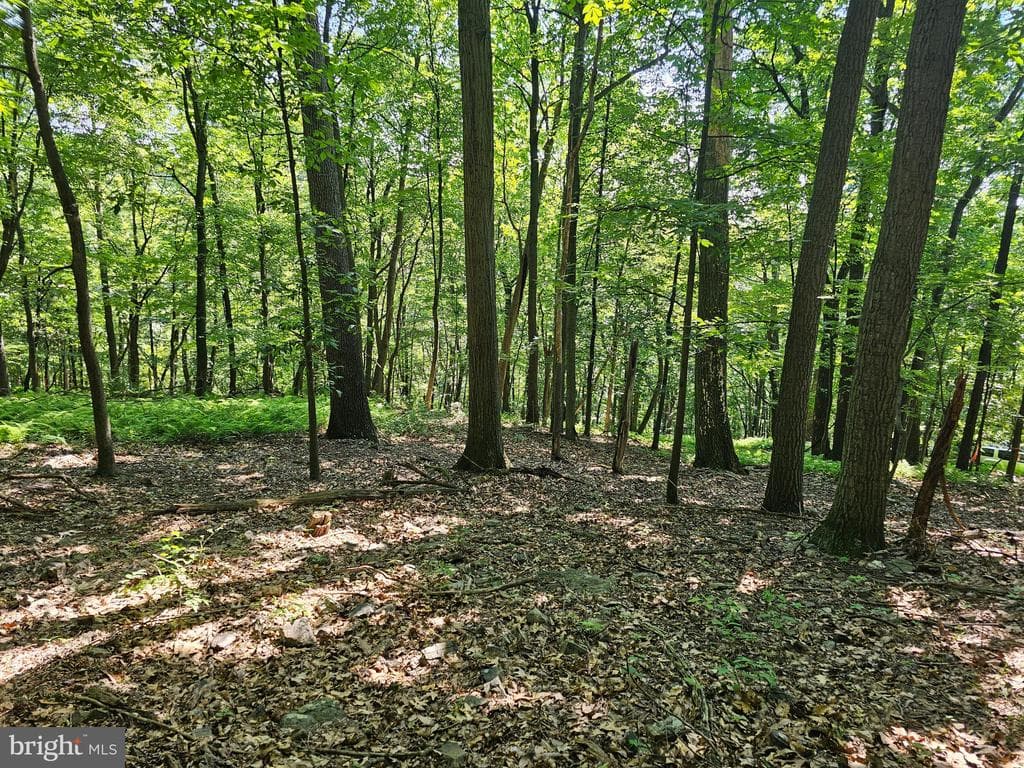 Property photo #23 for 14.25+/- Acres off Dry Run Rd, Mercersburg, PA 17236